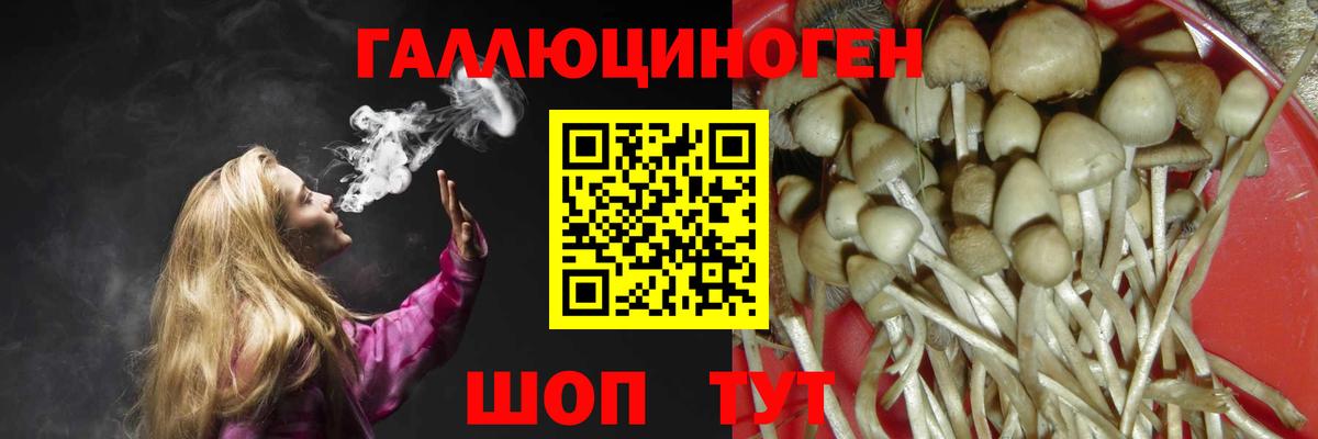 Галлюциногенные грибы GOLDEN TEACHER Алушта
