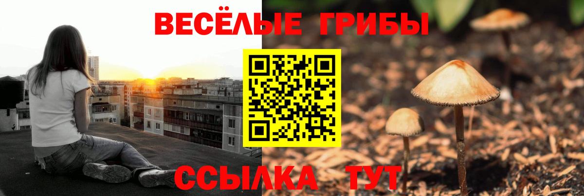 Алушта  Галлюциногенные грибы Psilocybe  Вход с VPN 